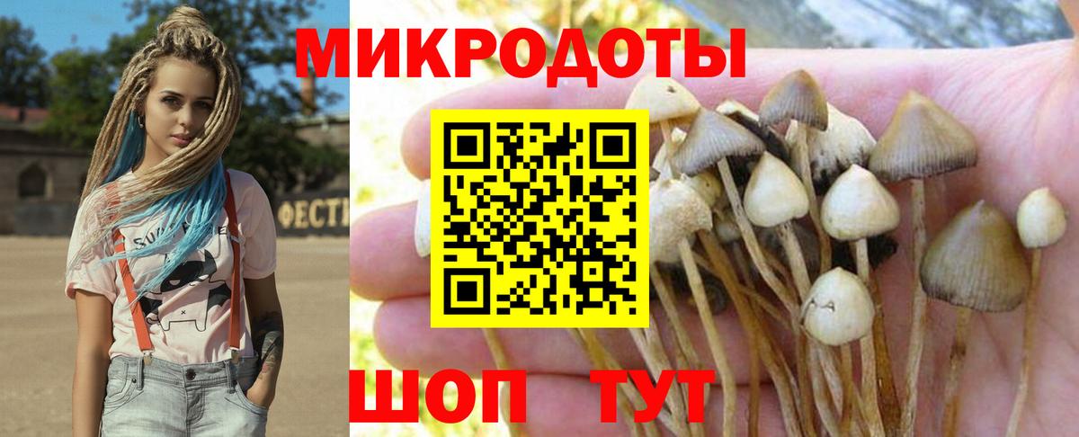 Псилоцибиновые грибы мицелий Шахты